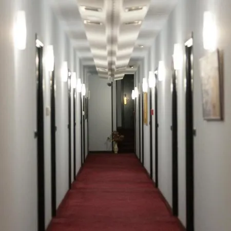酒店 发罗拉国际酒店 4*